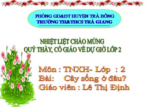 Bài 24. Cây sống ở đâu?