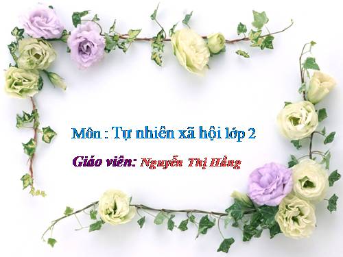 Bài 8. Ăn, uống sạch sẽ
