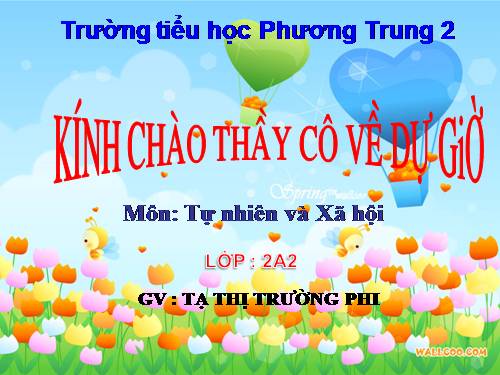 Bài 9. Đề phòng bệnh giun