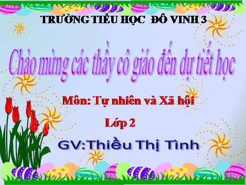 Bài 6. Tiêu hoá thức ăn
