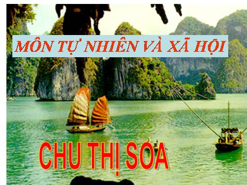 Bài 10. Ôn tập: Con người và sức khoẻ