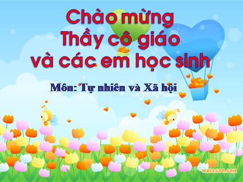 Bài 9. Đề phòng bệnh giun
