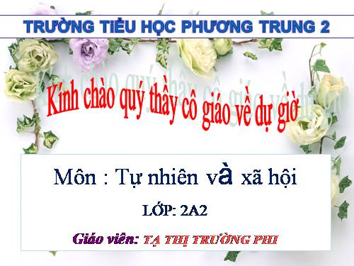 Bài 8. Ăn, uống sạch sẽ