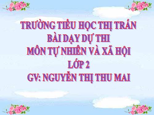 Bài 19. Đường giao thông