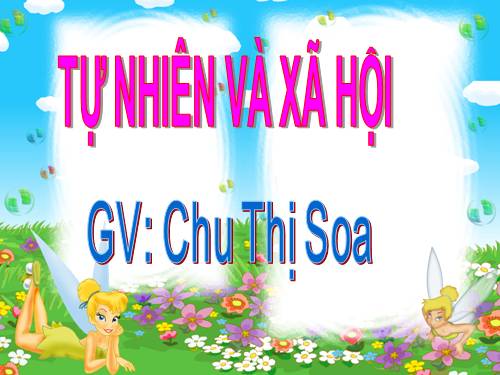 Bài 9. Đề phòng bệnh giun
