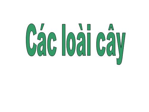 Bài 24. Cây sống ở đâu?