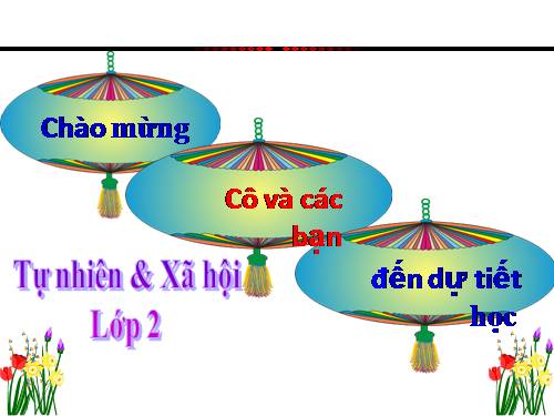 Bài 29. Một số loài vật sống dưới nước
