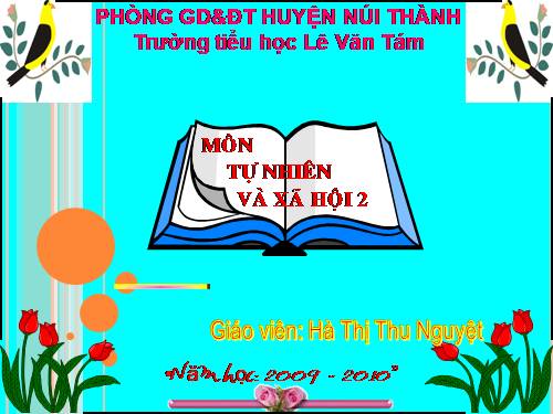 Bài 29. Một số loài vật sống dưới nước