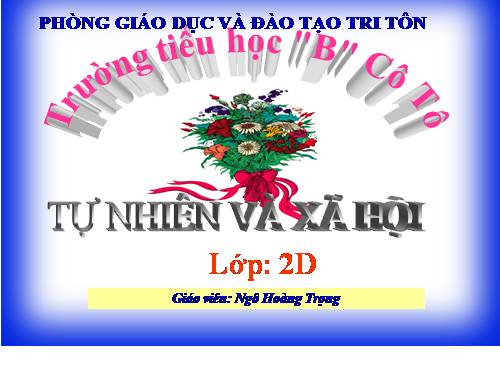 Bài 16. Các thành viên trong nhà trường
