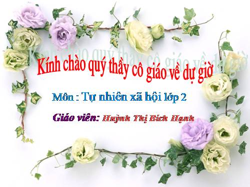 Bài 8. Ăn, uống sạch sẽ