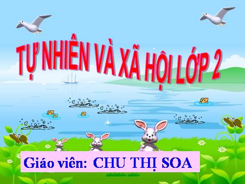 Bài 7. Ăn, uống đầy đủ