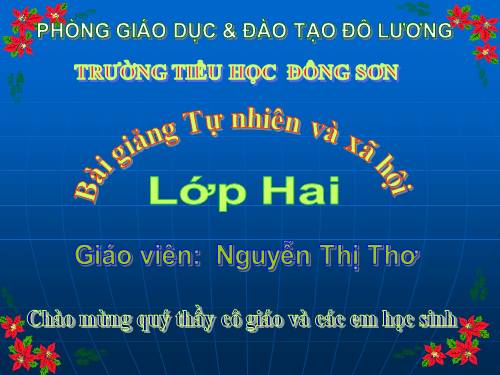Bài 5. Cơ quan tiêu hoá