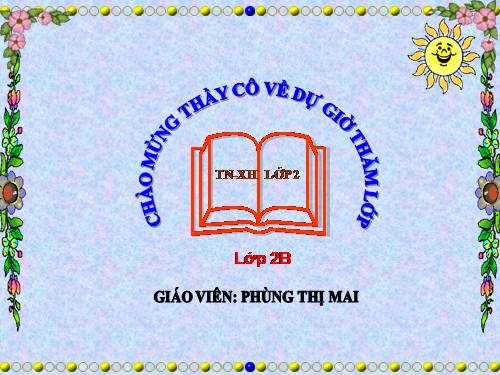 Bài 31. Mặt Trời