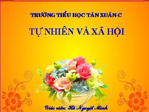 Bài 15. Trường học