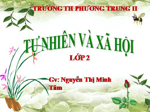 Bài 12. Đồ dùng trong gia đình