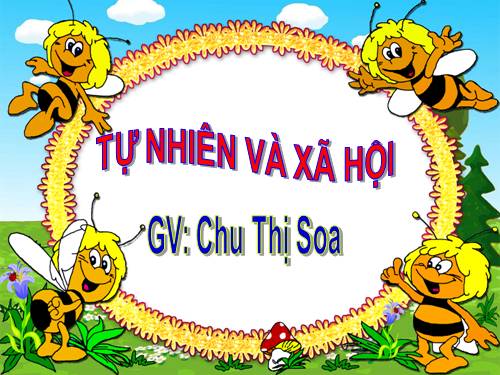 Bài 5. Cơ quan tiêu hoá