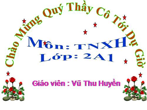 Bài 2. Bộ xương
