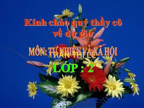 Bài 21. Cuộc sống xung quanh