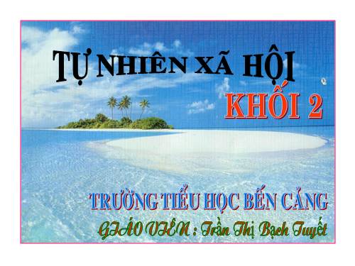 Bài 29. Một số loài vật sống dưới nước