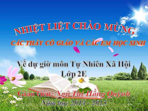 Bài 5. Cơ quan tiêu hoá