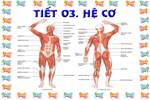 Bài 3. Hệ cơ
