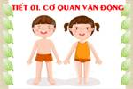 Bài 1. Cơ quan vận động