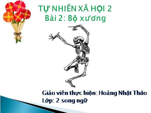 Bài 2. Bộ xương
