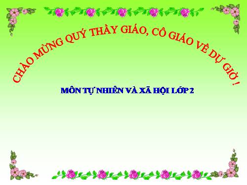 Bài 33. Mặt Trăng và các vì sao