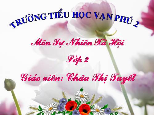 Bài 24. Cây sống ở đâu?