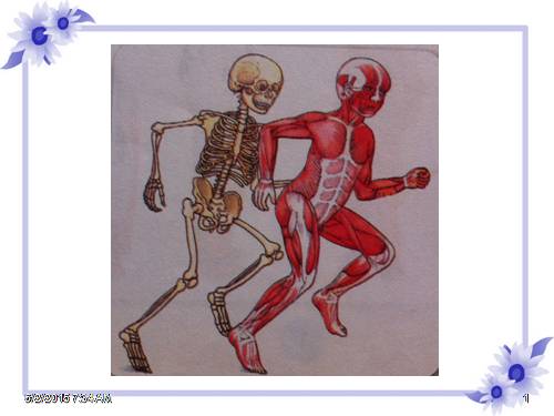 Bài 1. Cơ quan vận động
