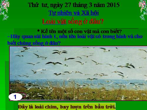 Bài 27. Loài vật sống ở đâu?