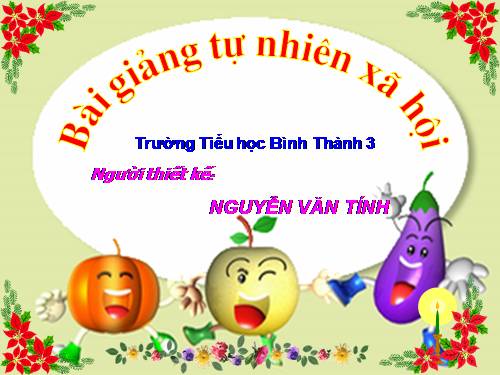 Bài 25. Một số loài cây sống trên cạn