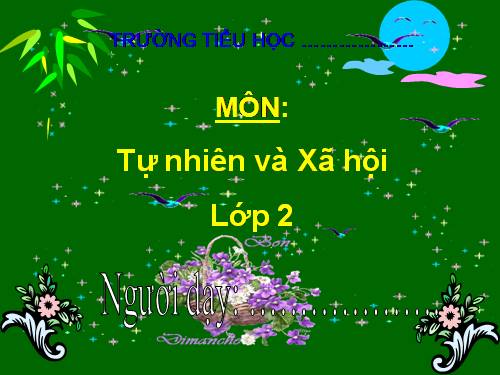 Bài 29. Một số loài vật sống dưới nước