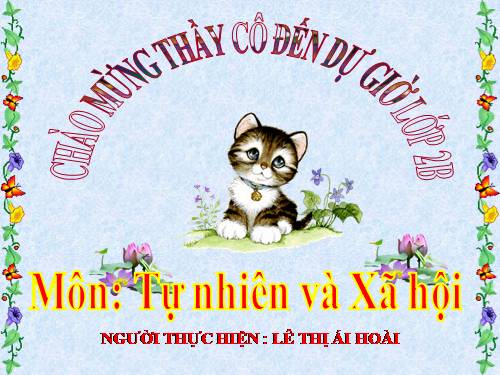 Bài 13. Giữ sạch môi trường xung quanh nhà ở