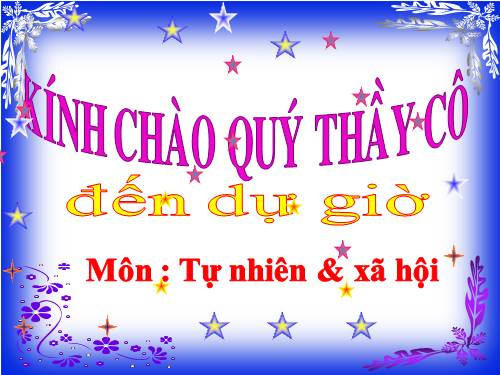 Bài 31. Mặt Trời