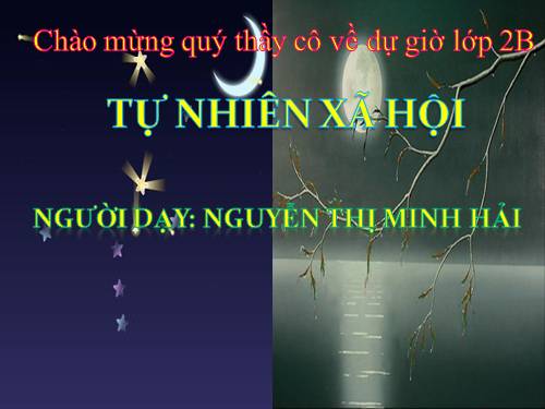 Bài 33. Mặt Trăng và các vì sao