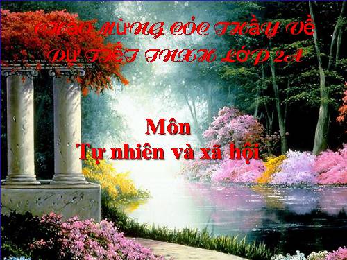 Bài 16. Các thành viên trong nhà trường