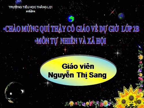 Bài 26. Một số loài cây sống dưới nước