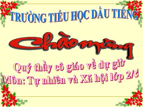 Bài 17. Phòng tránh ngã khi ở trường