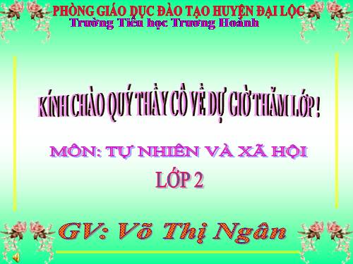 Bài 25. Một số loài cây sống trên cạn
