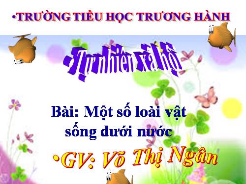 Bài 26. Một số loài cây sống dưới nước