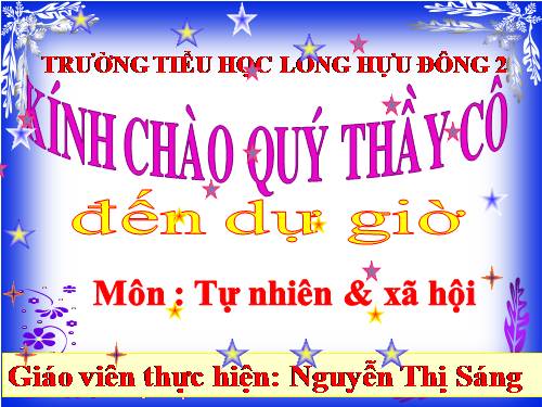 Bài 31. Mặt Trời