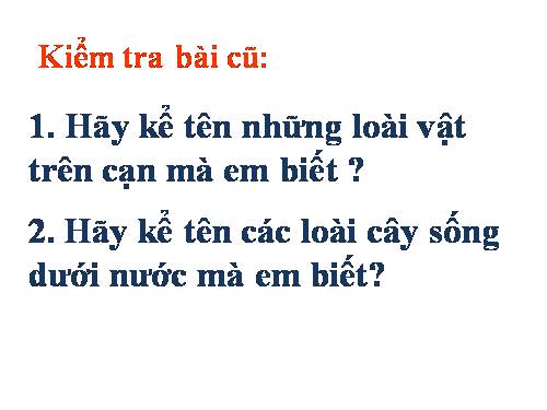 Bài 31. Mặt Trời