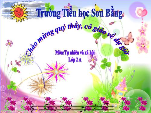 Bài 28. Một số loài vật sống trên cạn