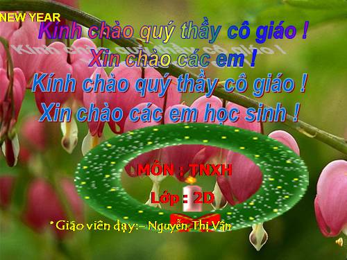 Bài 25. Một số loài cây sống trên cạn