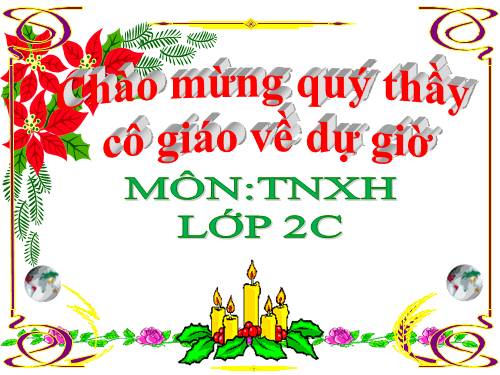 Bài 29. Một số loài vật sống dưới nước