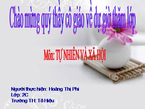 Bài 27. Loài vật sống ở đâu?