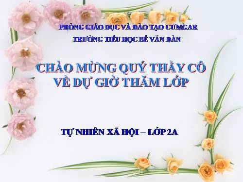Bài 27. Loài vật sống ở đâu?