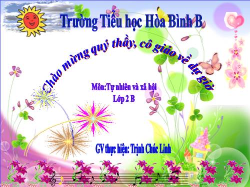 Bài 28. Một số loài vật sống trên cạn