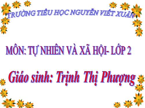 Bài 26. Một số loài cây sống dưới nước